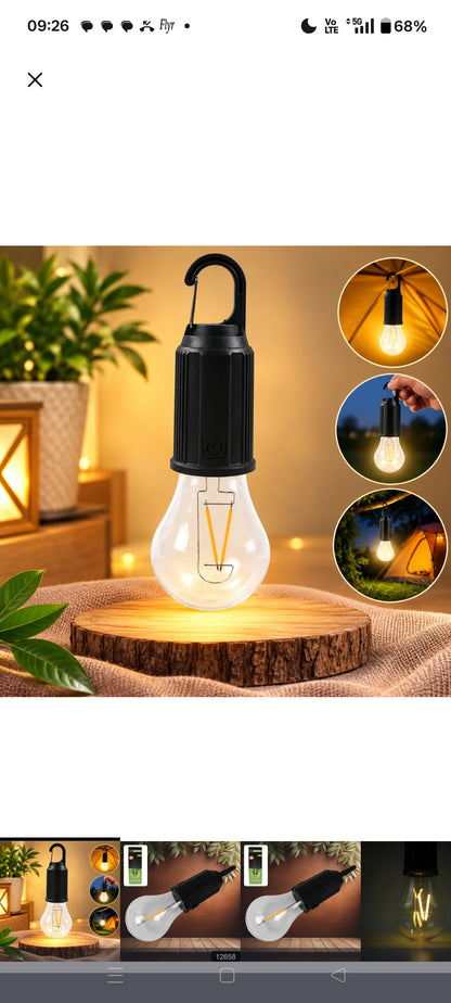 Solar charger bulbs